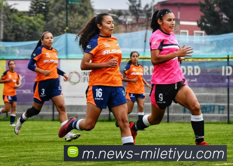 App Interface Preview