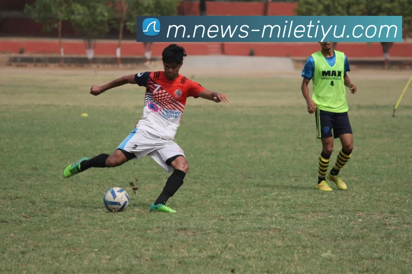 米乐体育APP 封面图